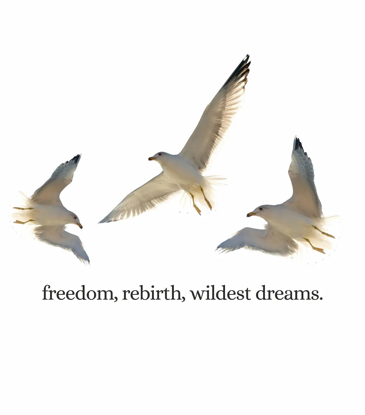 Playera Freedom y gaviotas