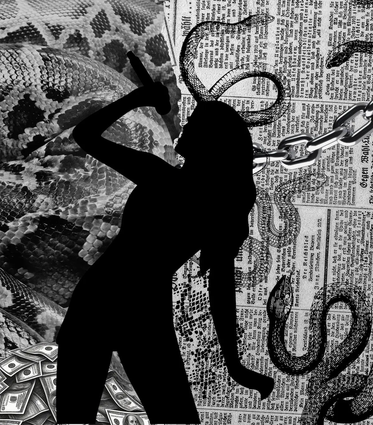 Playera Snake and Newspaper
